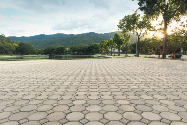 Best Residential Driveway Paver Services  in Leilani Estates, HI
